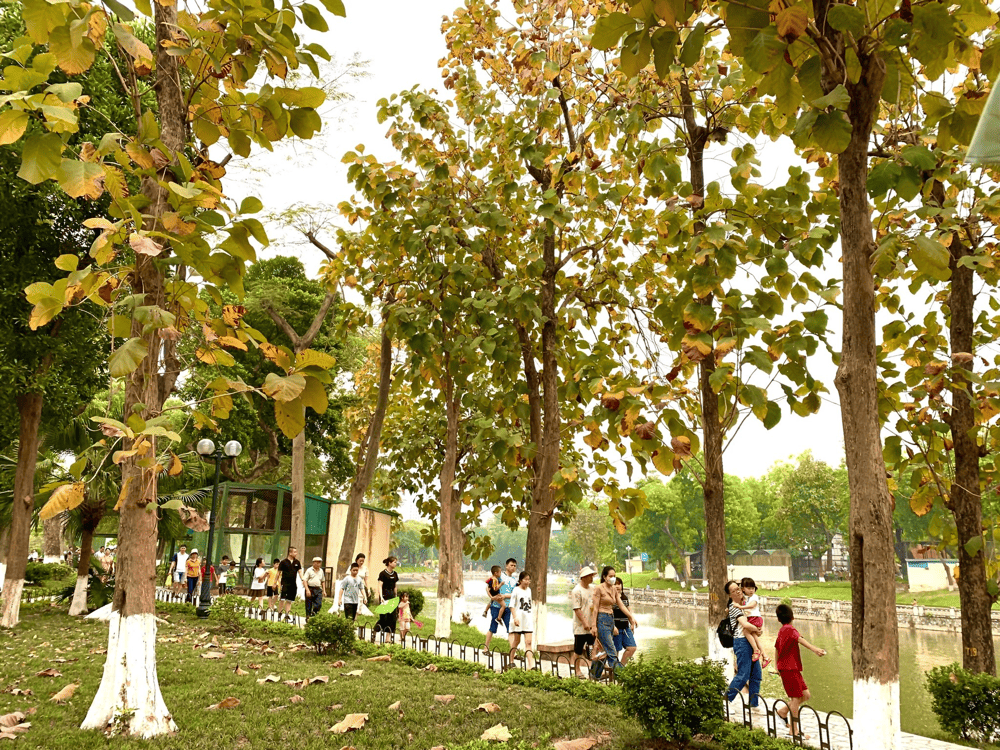 Relax and enjoy a picnic surrounded by nature and the sounds of wildlife (Source: Fanpage VƯỜN TH&Uacute; H&Agrave; NỘI)